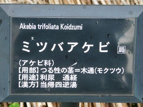 DSCN8320