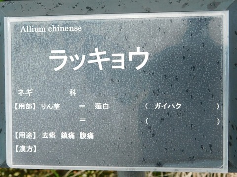 DSCN2703