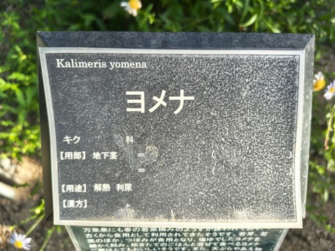 IMG_20260925_071739864_HDR