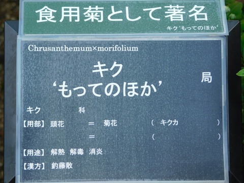 DSCN5518