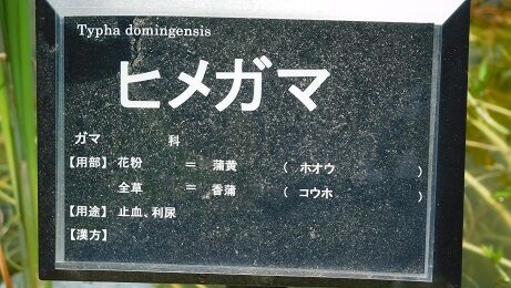 DSCN8120