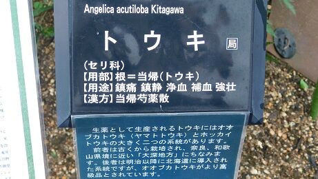 DSCN8172