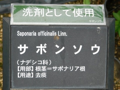 DSCN2090