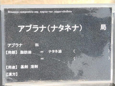 DSCN3579