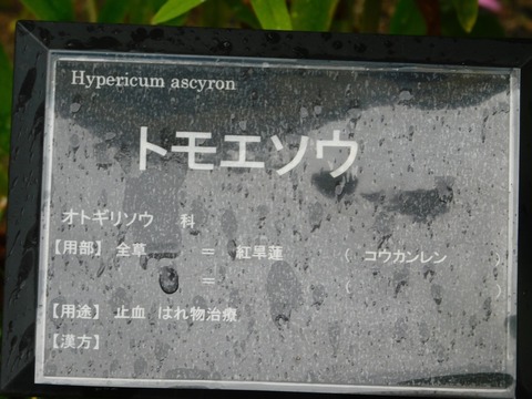 DSCN4387