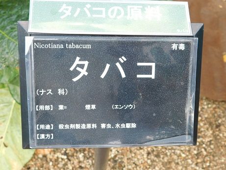 DSCN3489