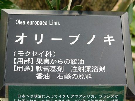 DSCN3869