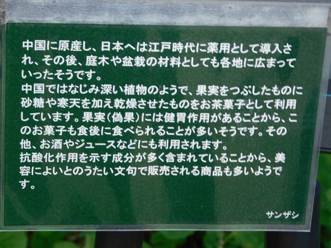 DSCN5050