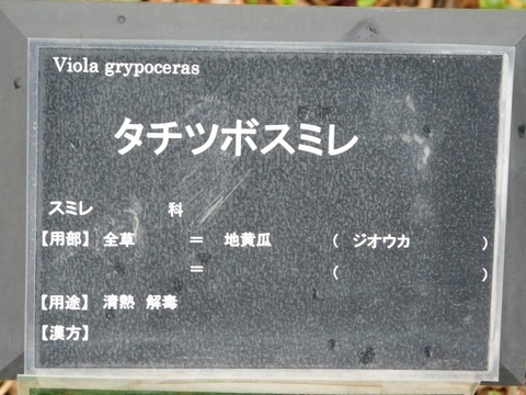 DSCN3666