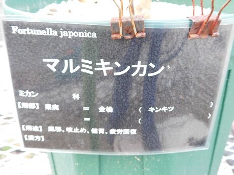DSCN9057