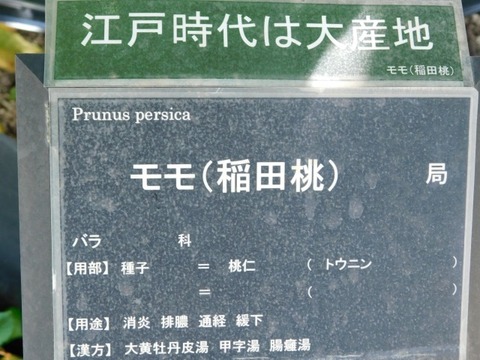 DSCN7168
