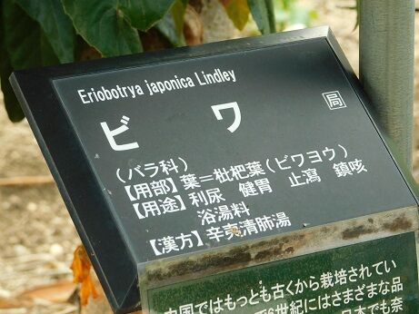 DSCN1034