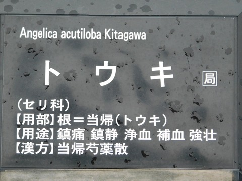 DSCN4310