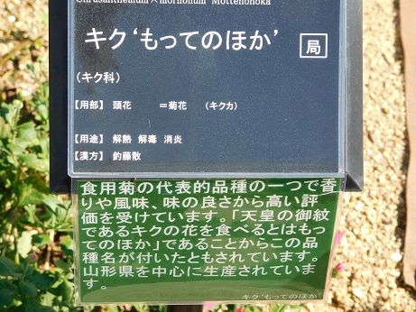 DSCN4084