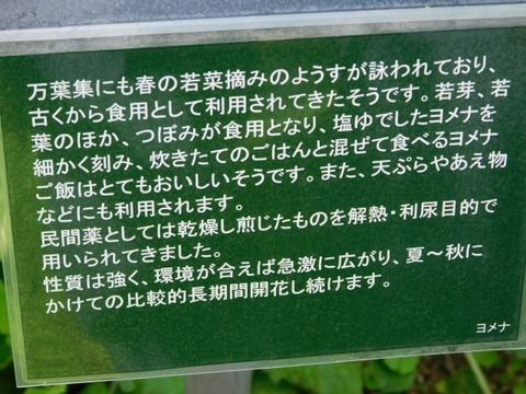 DSCN7183