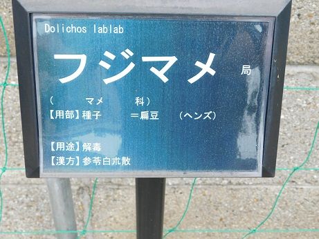 DSCN3177