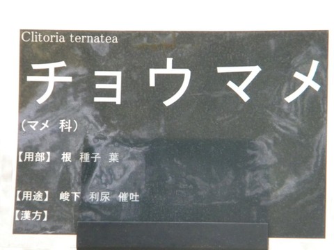 DSCN9980
