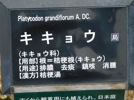 DSCN9886