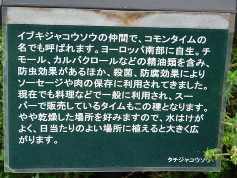 DSCN6471