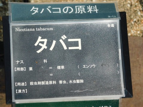 DSCN7312