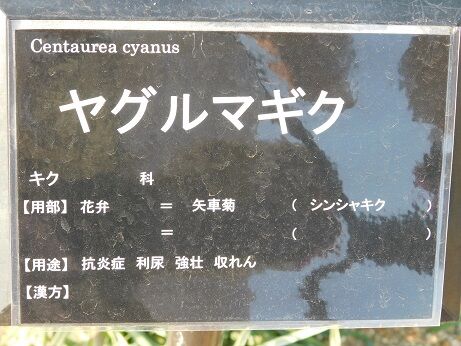 DSCN9290