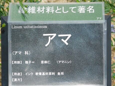 DSCN9268