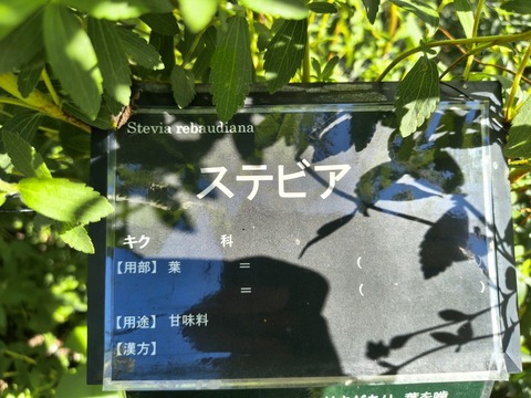 IMG_20261003_142020404_HDR