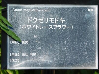 DSCN1983