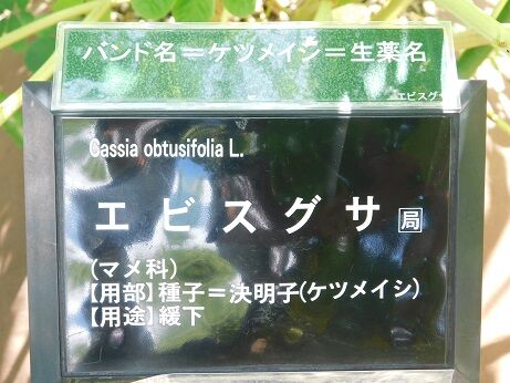 DSCN8494