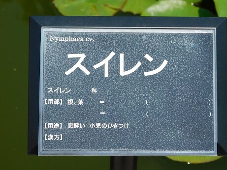 DSCN7735