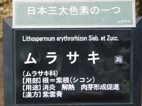 DSCN7014