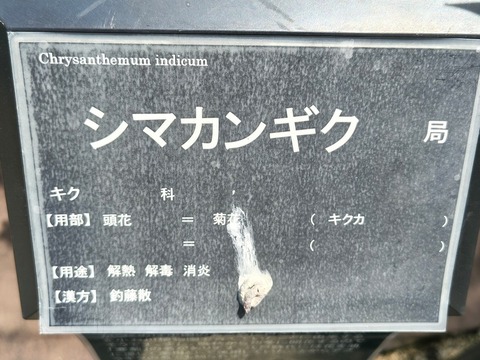 IMG_20260820_115854509_HDR