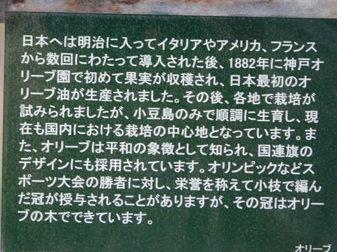 DSCN5074