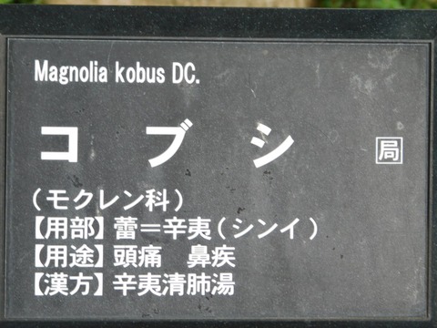 DSCN5362