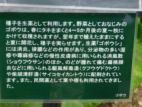 DSCN2125