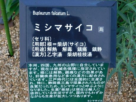 DSCN3287