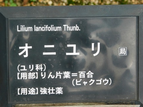 DSCN7086