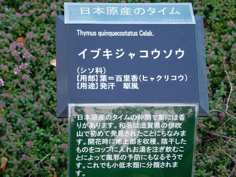 DSCN9045