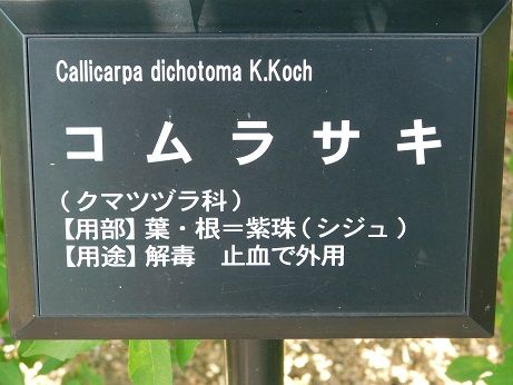 DSCN3815