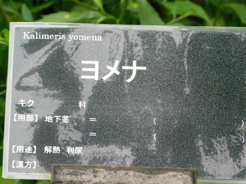DSCN2276