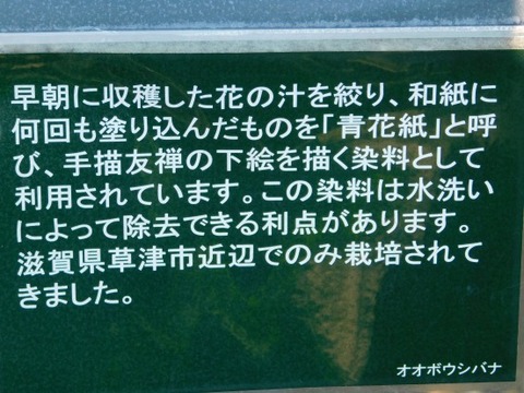 DSCN2150