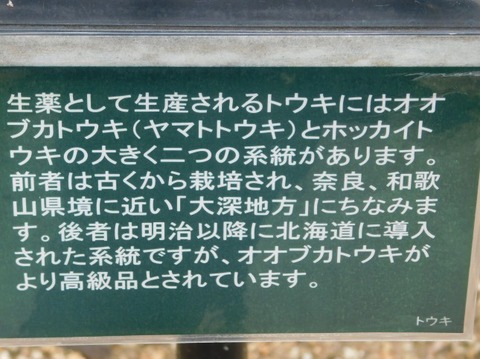 DSCN2350