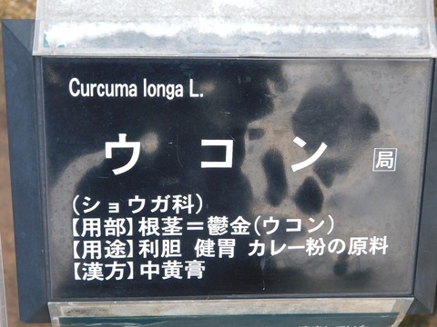 DSCN5063