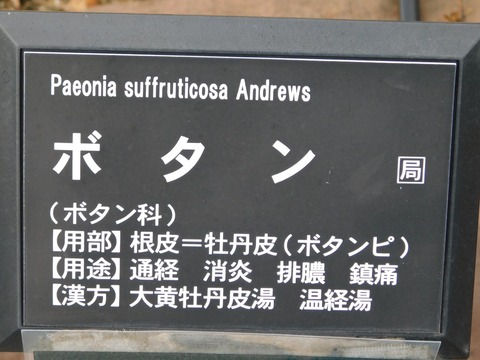 DSCN5925