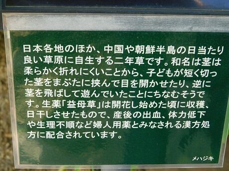 DSCN9848