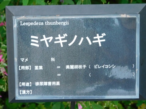 DSCN2751