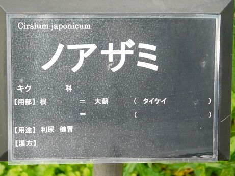 DSCN7812