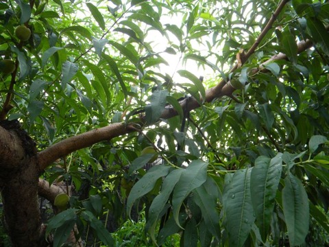DSCN9660