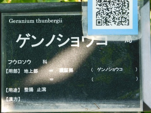 DSCN2166