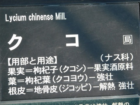 DSCN3358